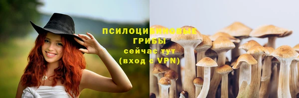 mix Богданович