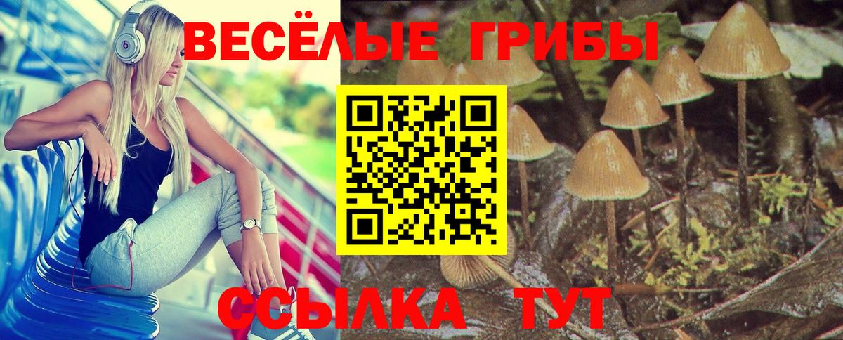 Наро-Фоминск  Галлюциногенные грибы ЛСД  Вход с VPN 